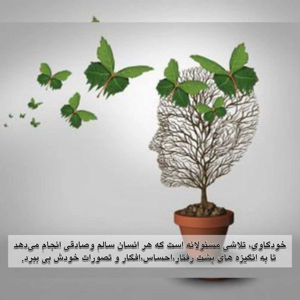 1726484633404.webp